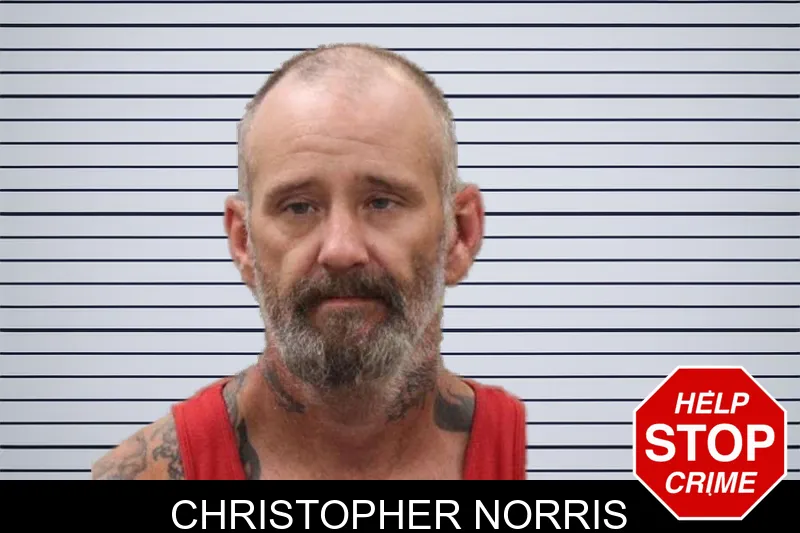 Christopher Norris mugshot