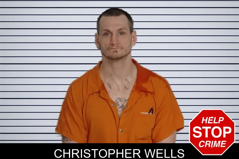 Christopher Wells mugshot