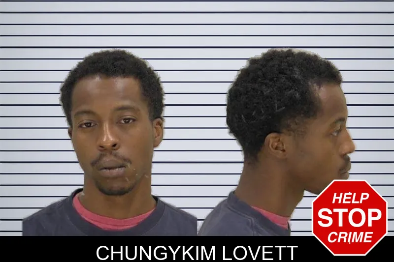 Chungykim Lovett mugshot