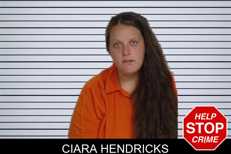 Ciara Hendricks mugshot