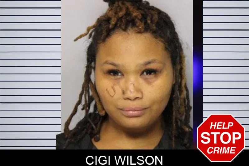 Cigi Wilson mugshot