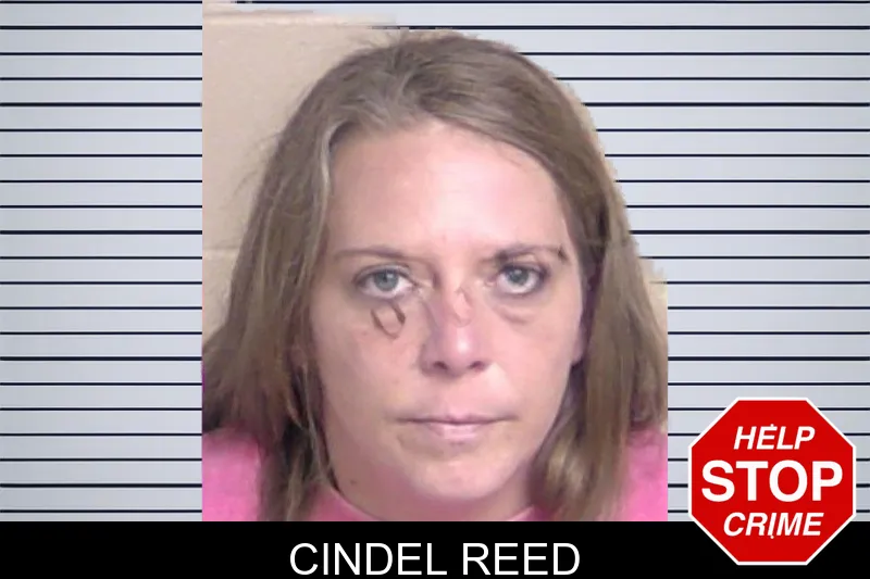 Cindel Reed mugshot