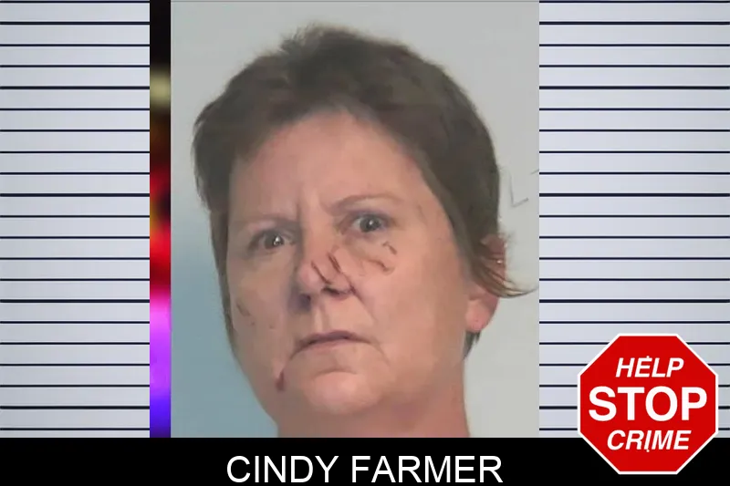 Cindy Farmer mugshot
