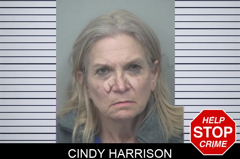 Cindy Harrison mugshot