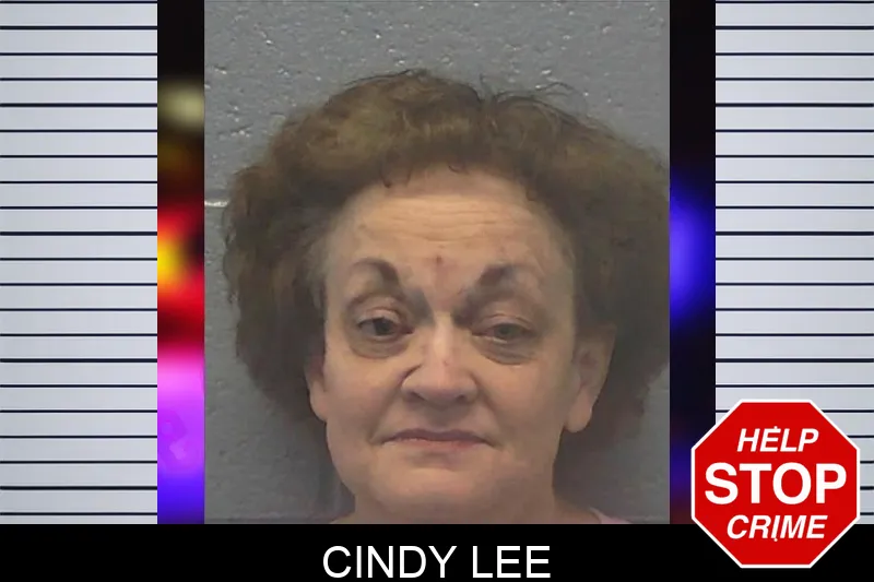 Cindy Lee mugshot