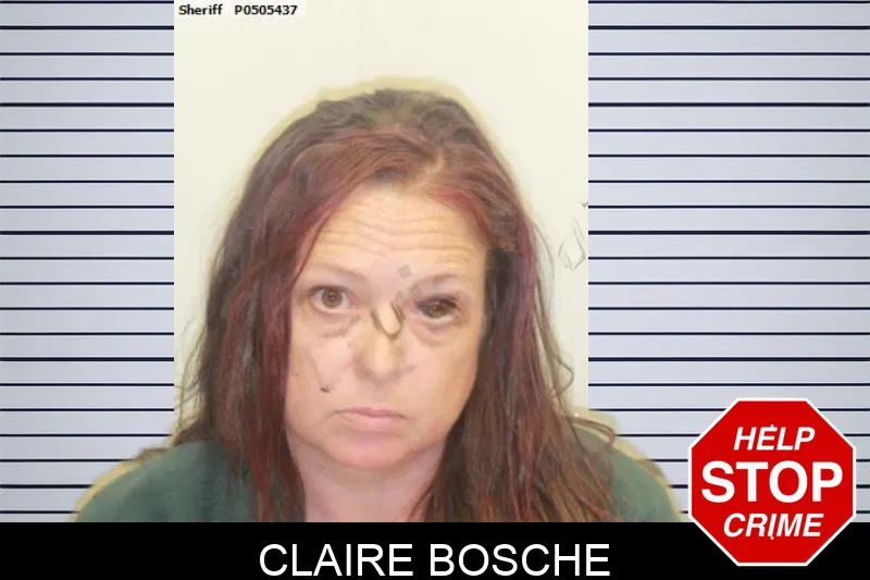 Claire Bosche mugshot – Chatham County , Georgia Claire Bosche mugshot