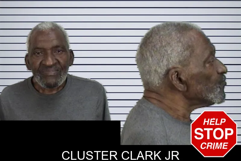 Cluster Clark Jr mugshot