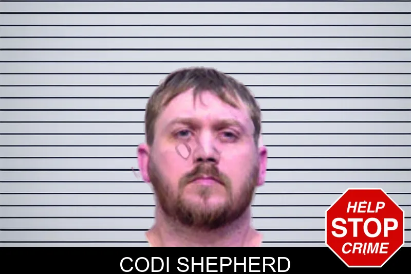 Codi Shepherd mugshot