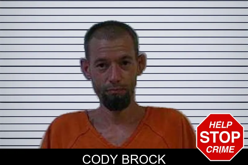 Cody Brock mugshot