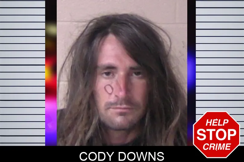Cody Downs mugshot