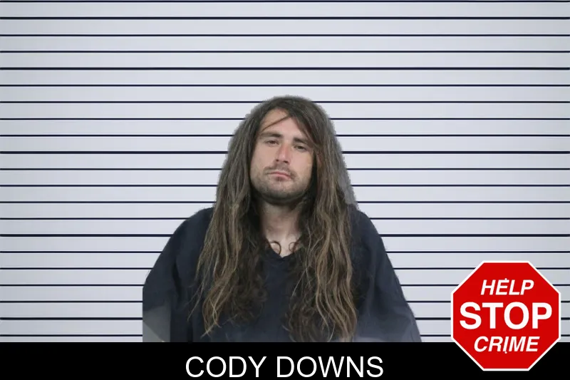 Cody Downs mugshot
