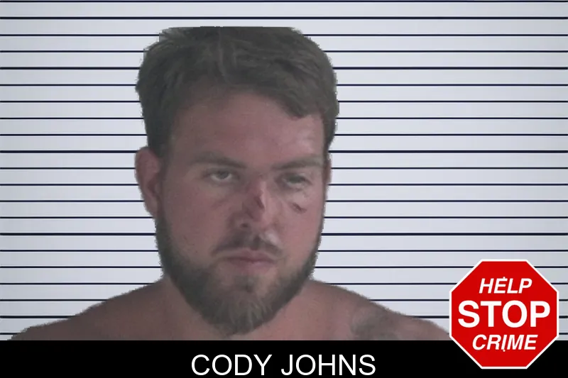 Cody Johns mugshot
