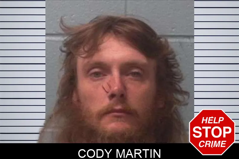 Cody Martin mugshot