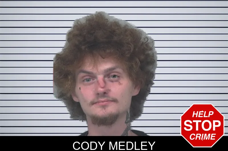 Cody Medley mugshot