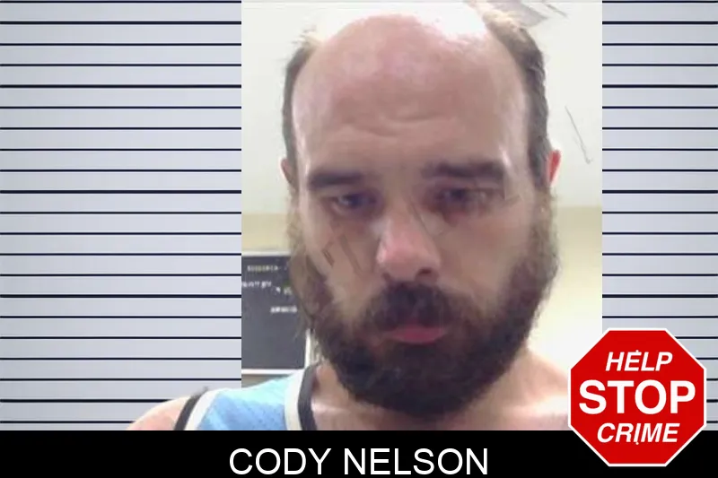 Cody Nelson mugshot
