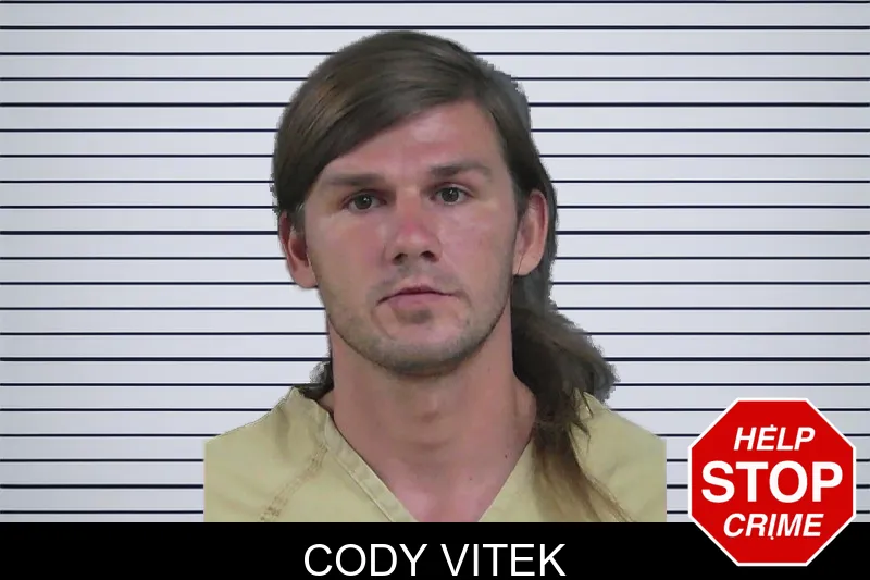 Cody Vitek mugshot