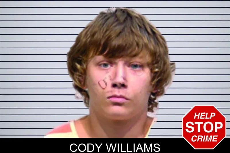 Cody Williams mugshot