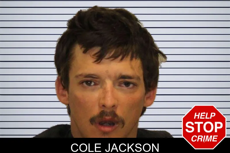 Cole Jackson mugshot