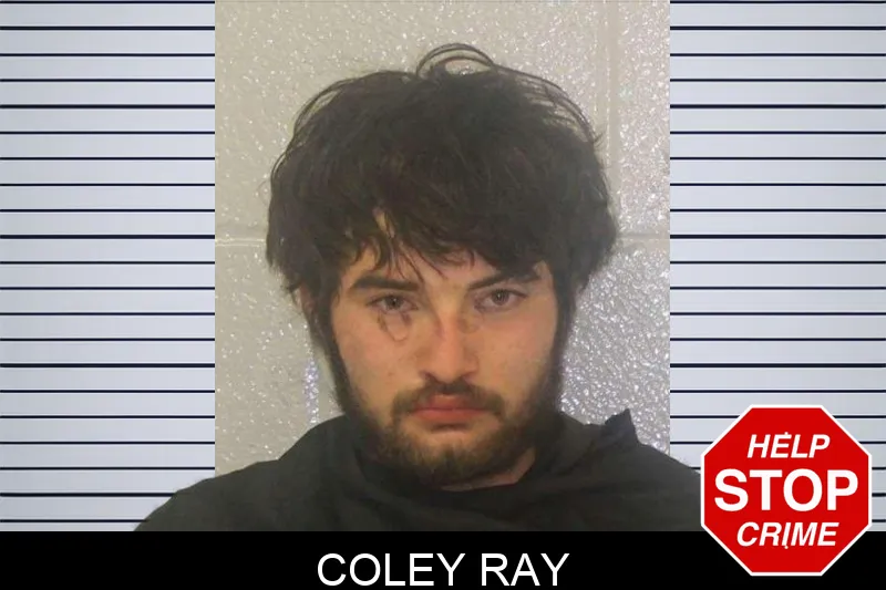 Coley Ray mugshot