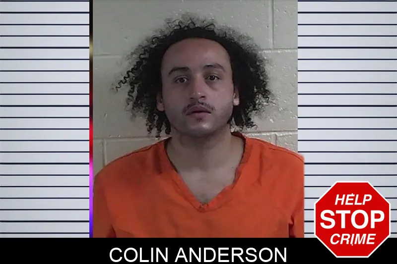 Colin Anderson mugshot