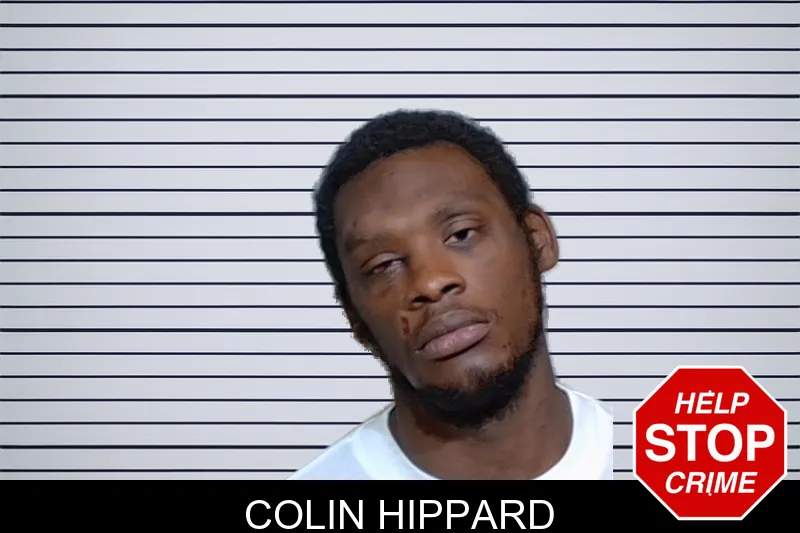 Colin Hippard mugshot
