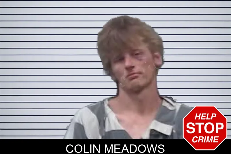 Colin Meadows mugshot