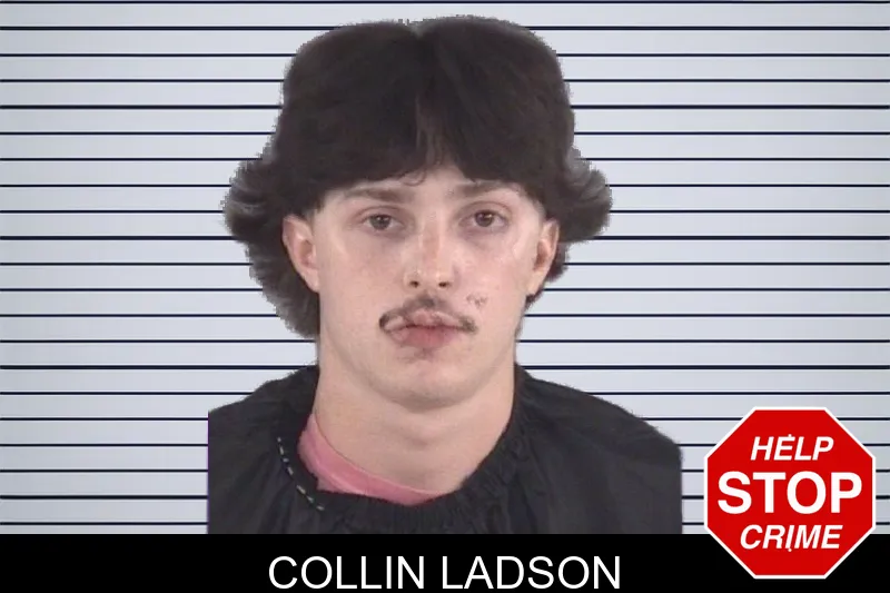 Collin Ladson mugshot