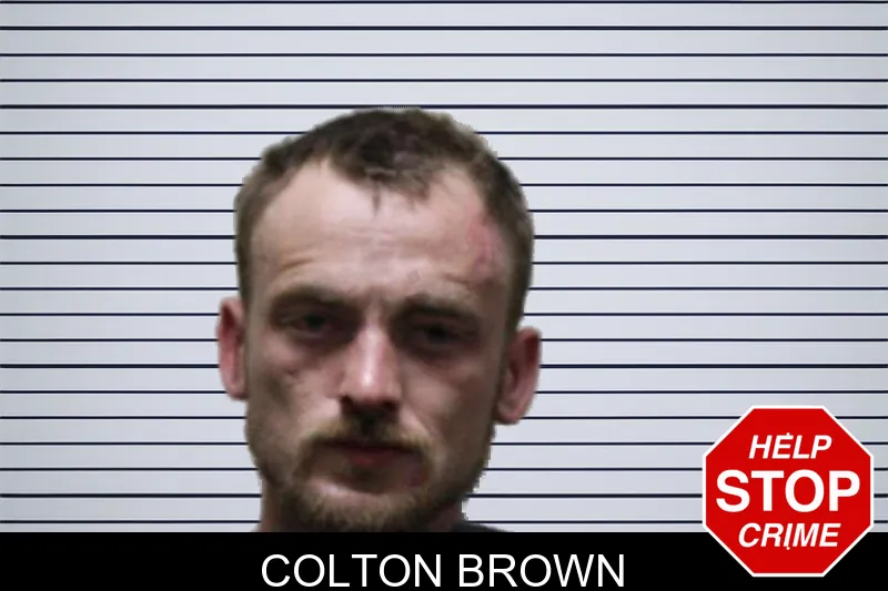 Colton Brown mugshot