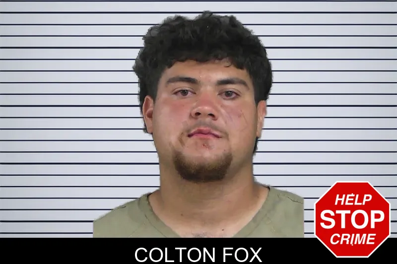 Colton Fox mugshot