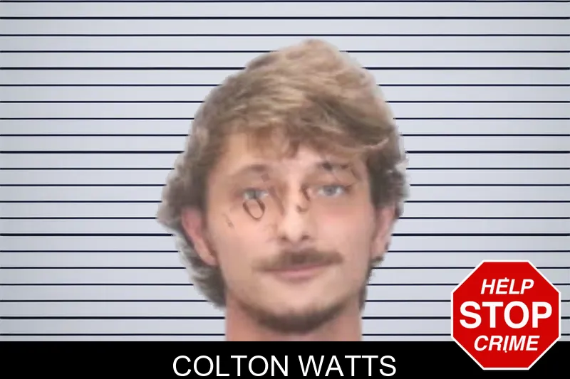 Colton Watts mugshot