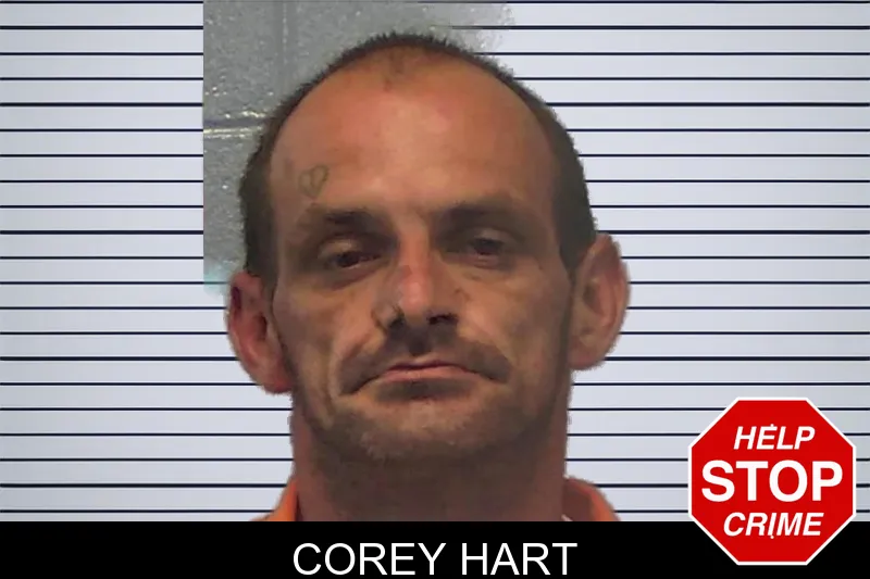 Corey Hart mugshot