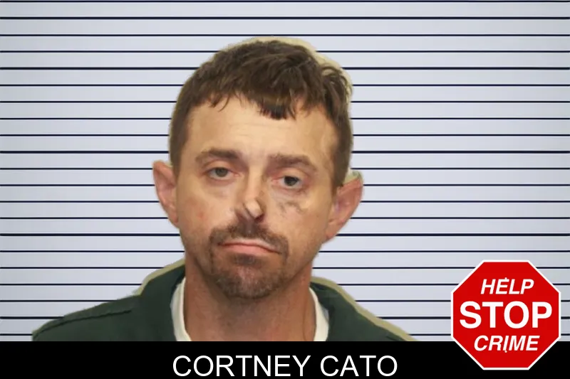 Cortney Cato mugshot