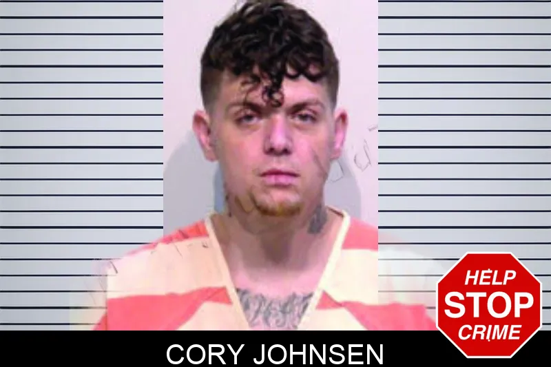 Cory Johnsen mugshot