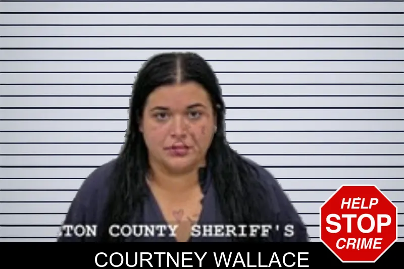 Courtney Wallace mugshot