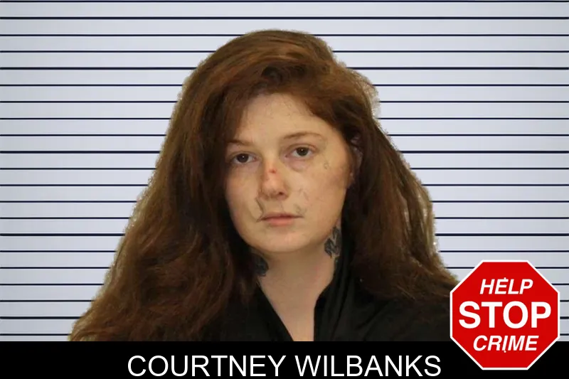 Courtney Wilbanks mugshot