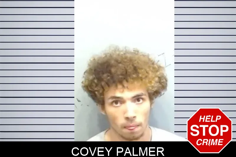 Covey Palmer mugshot