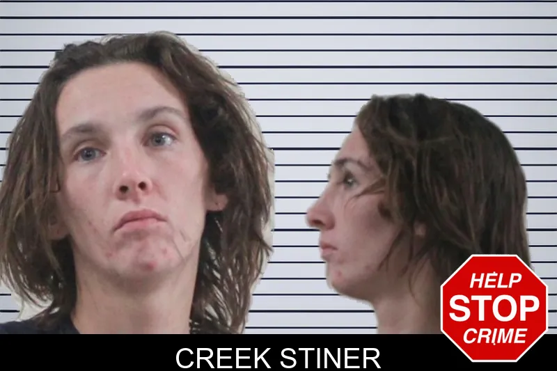 Creek Stiner mugshot