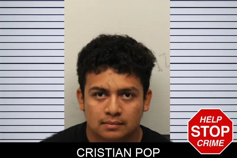 Cristian Pop mugshot – Chatham County , Georgia Cristian Pop mugshot