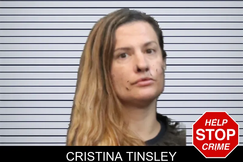Cristina Tinsley mugshot
