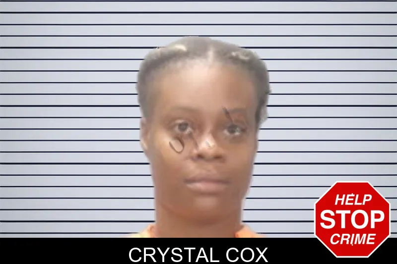 Crystal Cox mugshot