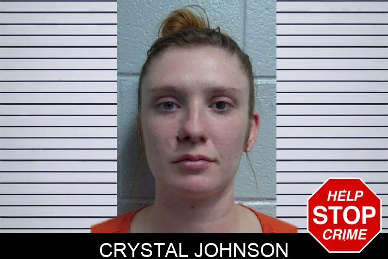 Crystal Johnson mugshot