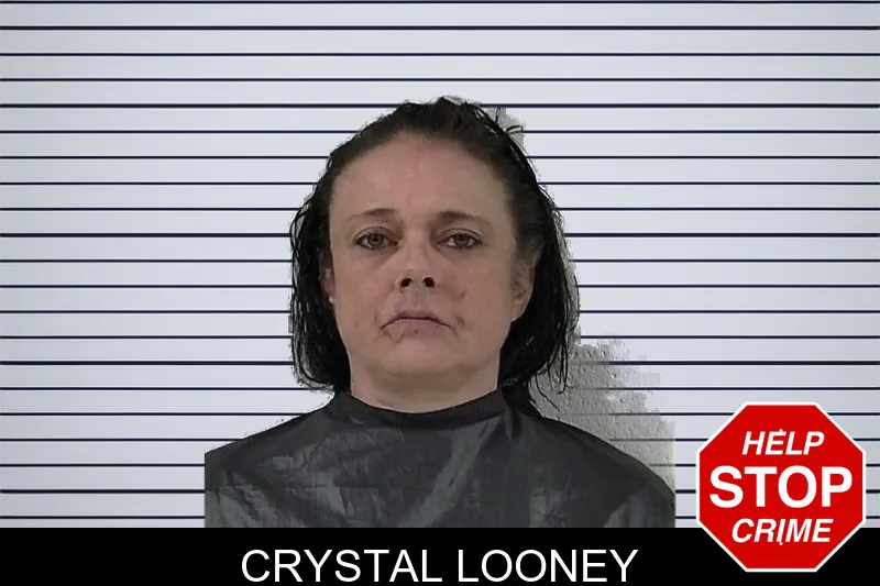 Crystal Looney mugshot