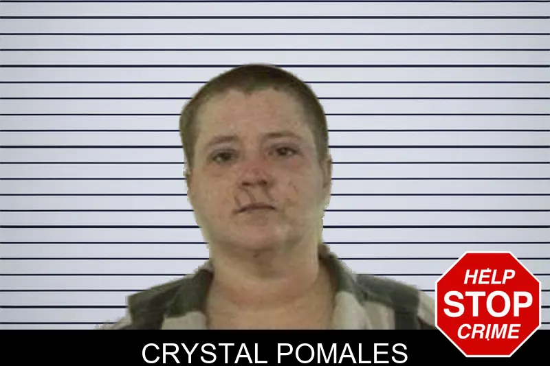 Crystal Pomales mugshot