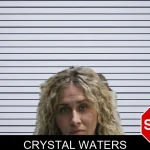 Crystal Waters mugshot