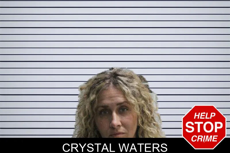 Crystal Waters mugshot