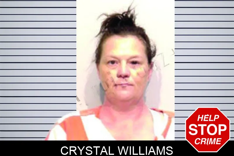 Crystal Williams mugshot