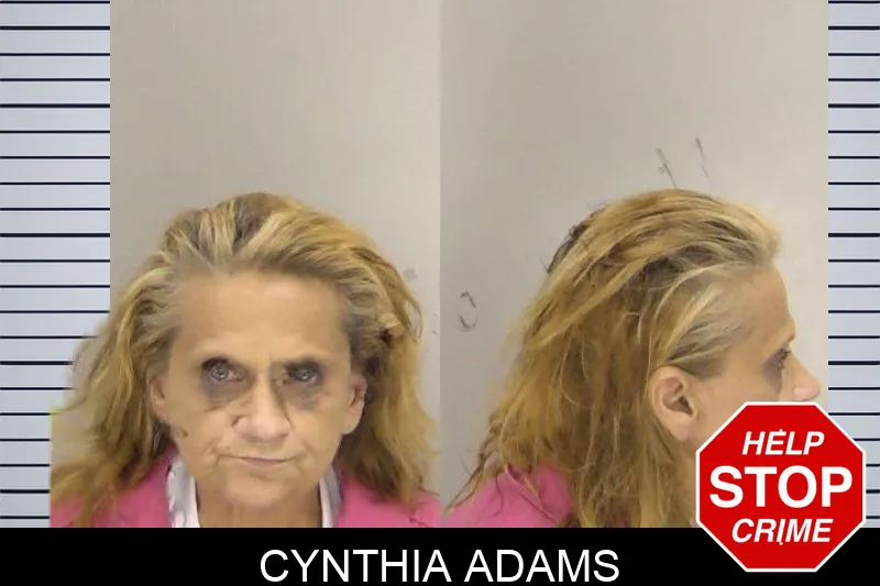 Cynthia Adams mugshot