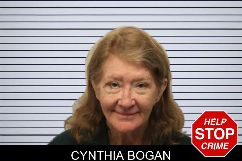 Cynthia Bogan mugshot
