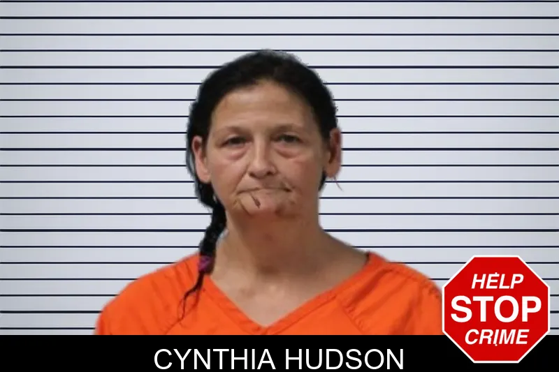 Cynthia Hudson mugshot