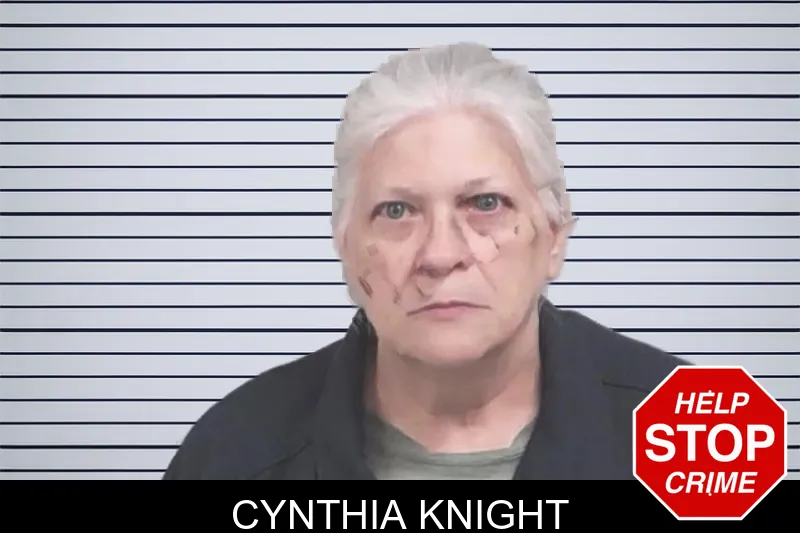 Cynthia Knight mugshot